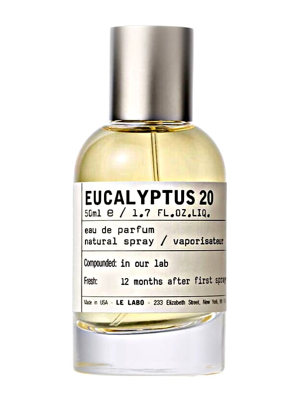 Picture of Eucalyptus 20 fragrance